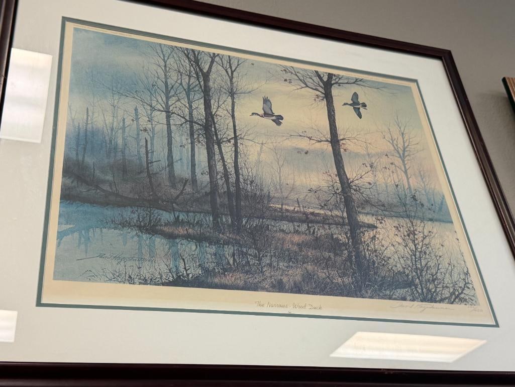 DAVID HAGERBAUMER WILDLIFE ARTIST LIMITED EDITION PRINT THE NARROWS - WOOD DUCK 132/450 - 2