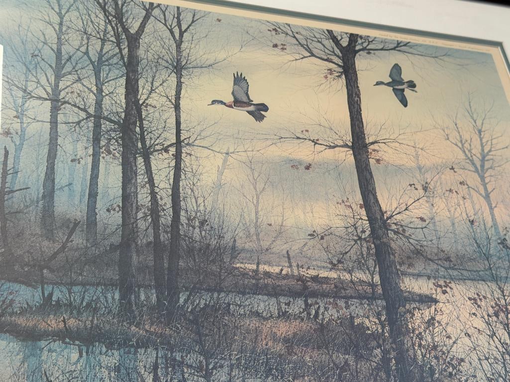 DAVID HAGERBAUMER WILDLIFE ARTIST LIMITED EDITION PRINT THE NARROWS - WOOD DUCK 132/450 - 3
