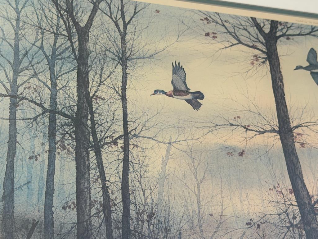 DAVID HAGERBAUMER WILDLIFE ARTIST LIMITED EDITION PRINT THE NARROWS - WOOD DUCK 132/450 - 4
