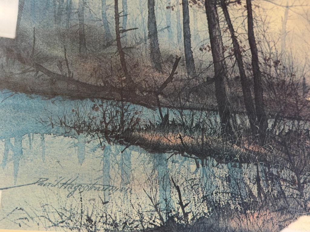 DAVID HAGERBAUMER WILDLIFE ARTIST LIMITED EDITION PRINT THE NARROWS - WOOD DUCK 132/450 - 5