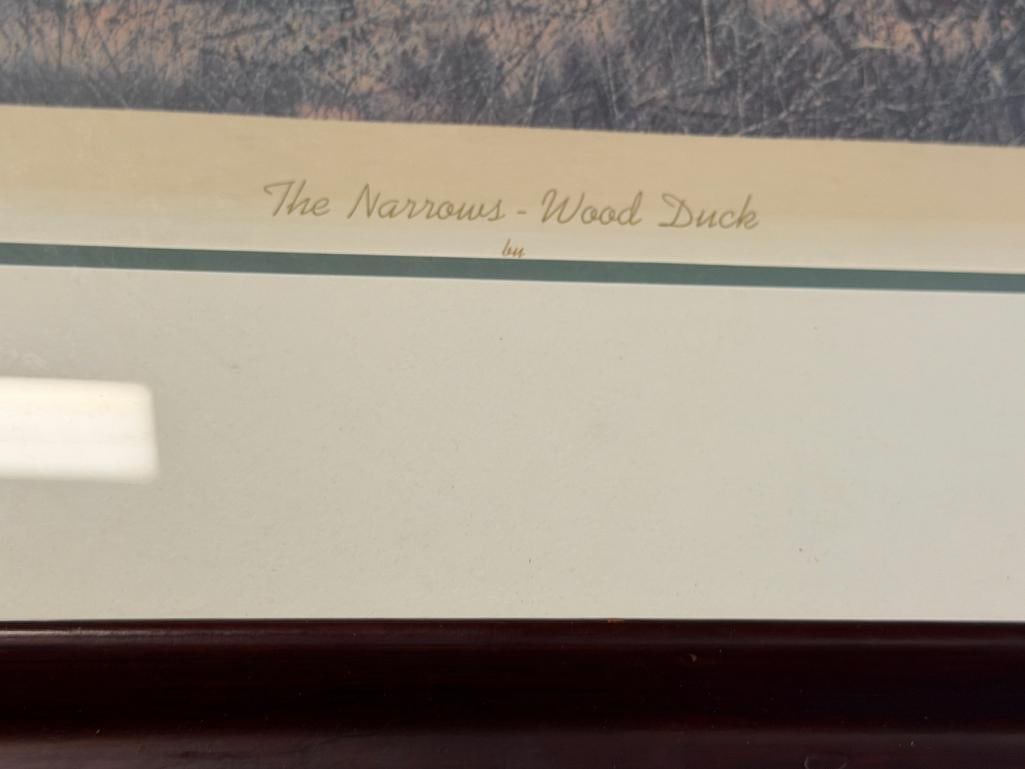 DAVID HAGERBAUMER WILDLIFE ARTIST LIMITED EDITION PRINT THE NARROWS - WOOD DUCK 132/450 - 6