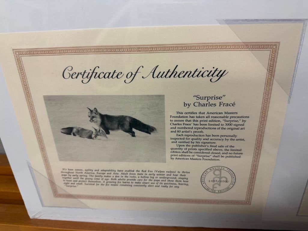 CHARLES FRACE SIGNED AND NUMBERED LIMITED EDITION PRINT " SURPRISE" DEPICTING TWO RED FOXES IN SNOW - 11