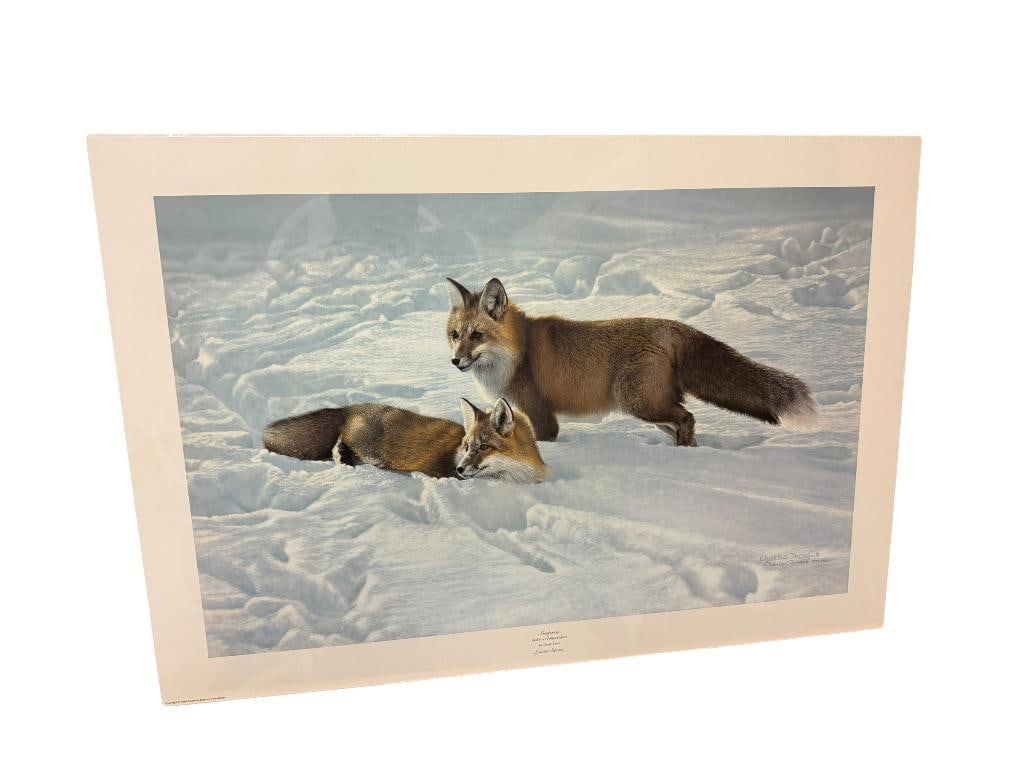 CHARLES FRACE SIGNED AND NUMBERED LIMITED EDITION PRINT " SURPRISE" DEPICTING TWO RED FOXES IN SNOW: SIGNED BY ARTIST IN LOWER RIGHT AND NUMBERED 1897/3000, COPYRIGHT 1989 AMERICAN MASTERS FOUNDATION, SEALED IN PLASTIC WITH POSTER BOARD, INCLUDES CERTIFICATE OF AUTHENTICITY ON BACK, AWARD WINNING