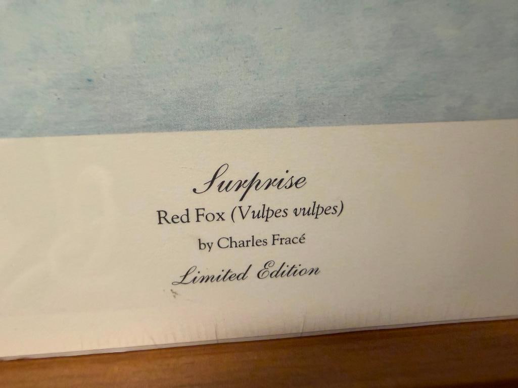 CHARLES FRACE SIGNED AND NUMBERED LIMITED EDITION PRINT " SURPRISE" DEPICTING TWO RED FOXES IN SNOW - 4