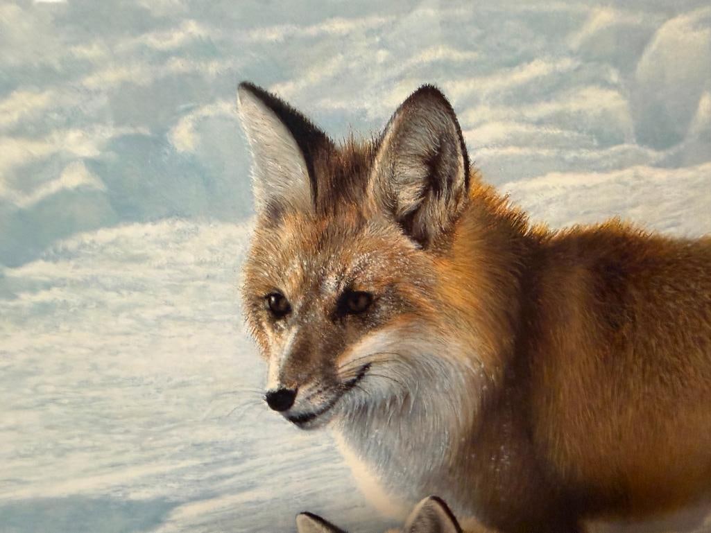 CHARLES FRACE SIGNED AND NUMBERED LIMITED EDITION PRINT " SURPRISE" DEPICTING TWO RED FOXES IN SNOW - 6