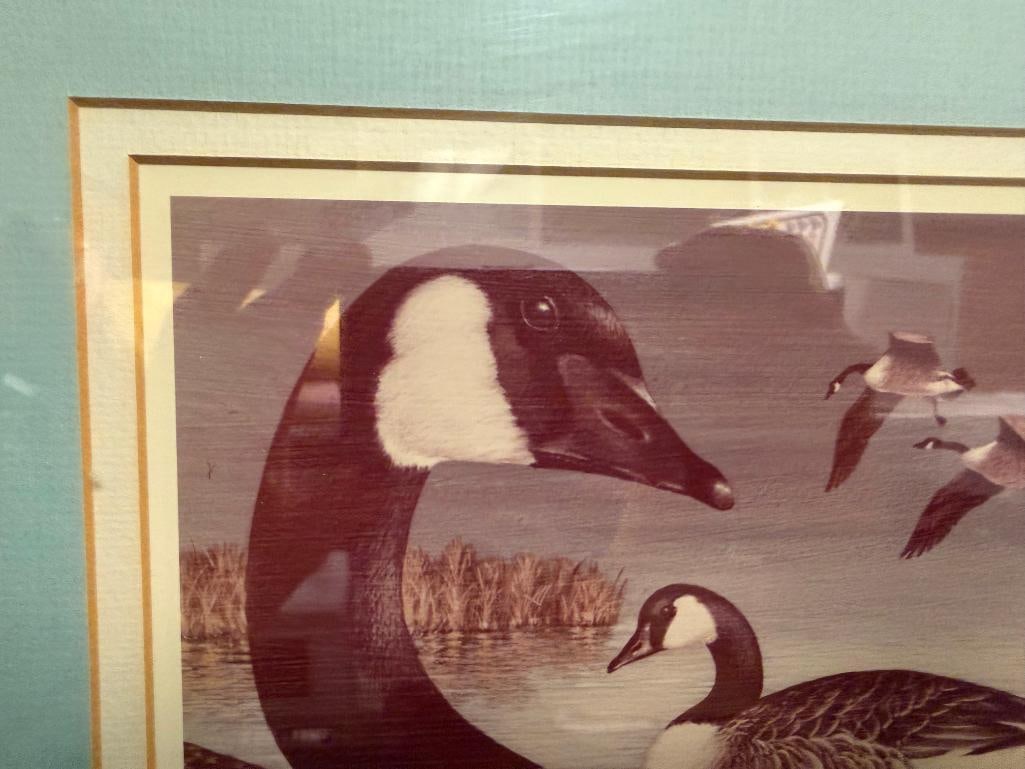 LIMITED EDITION SIGNED AND NUMBERED PRINT BY MEL MATHEWSON OF CANADA GEESE - 7