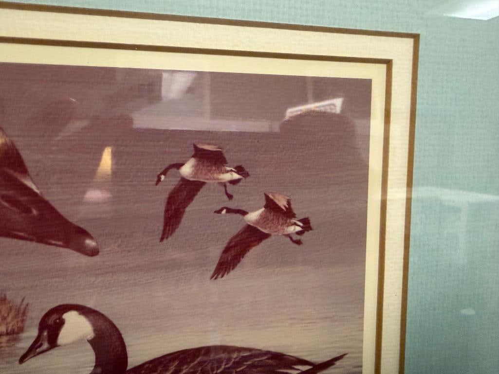 LIMITED EDITION SIGNED AND NUMBERED PRINT BY MEL MATHEWSON OF CANADA GEESE - 8