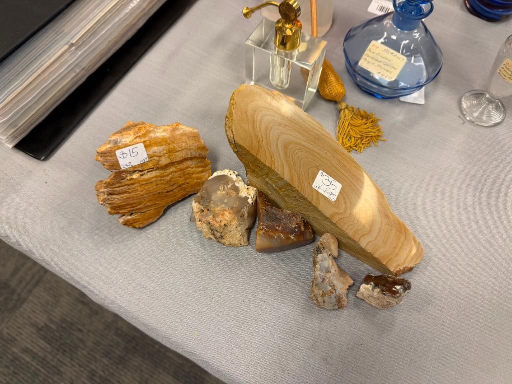 GEOLOGICAL SPECIMEN SAMPLES INCLUDING AGATE - 2