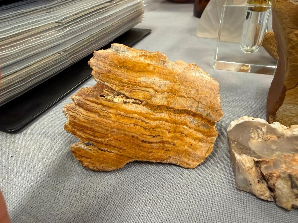 GEOLOGICAL SPECIMEN SAMPLES INCLUDING AGATE - 4