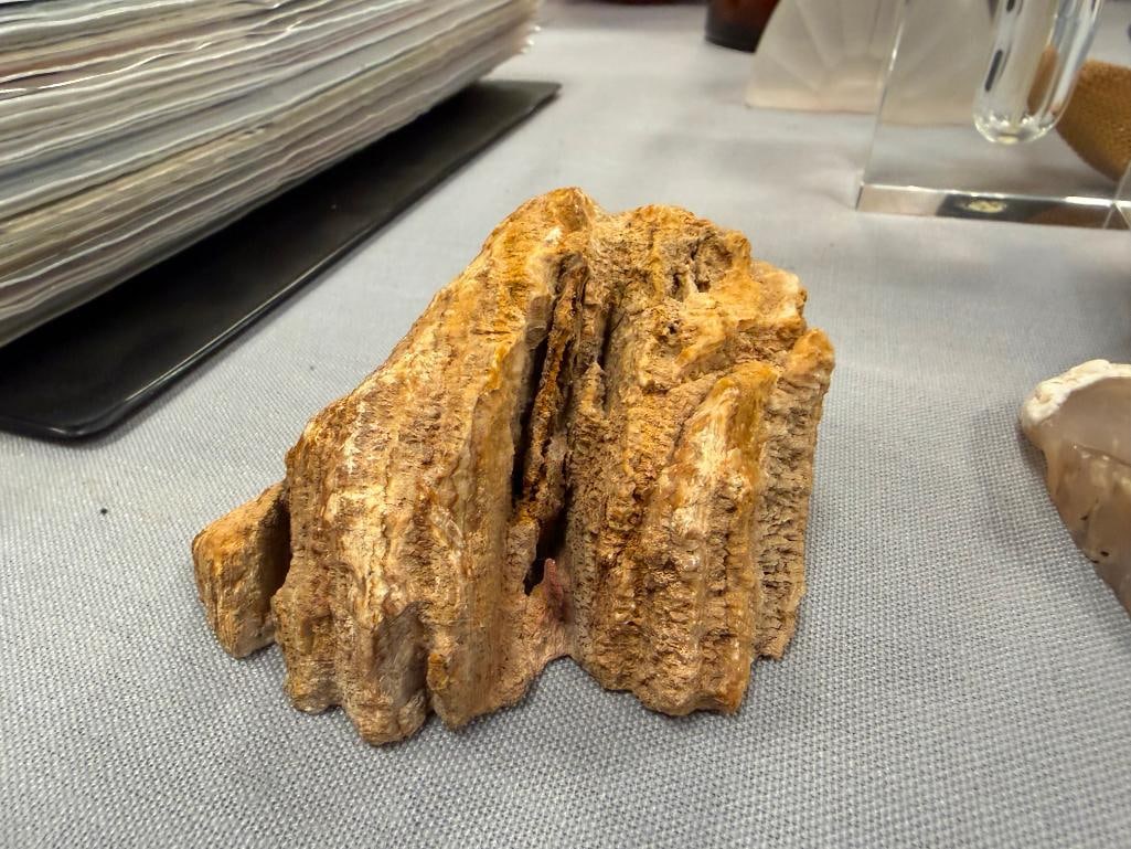 GEOLOGICAL SPECIMEN SAMPLES INCLUDING AGATE - 6