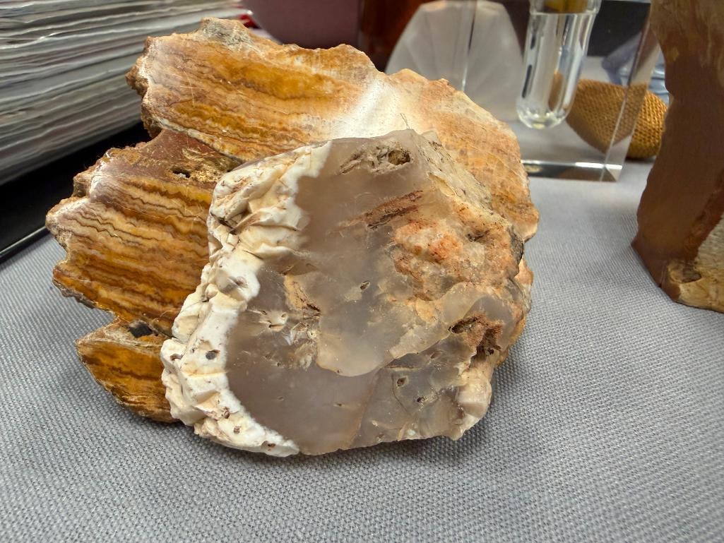GEOLOGICAL SPECIMEN SAMPLES INCLUDING AGATE - 7