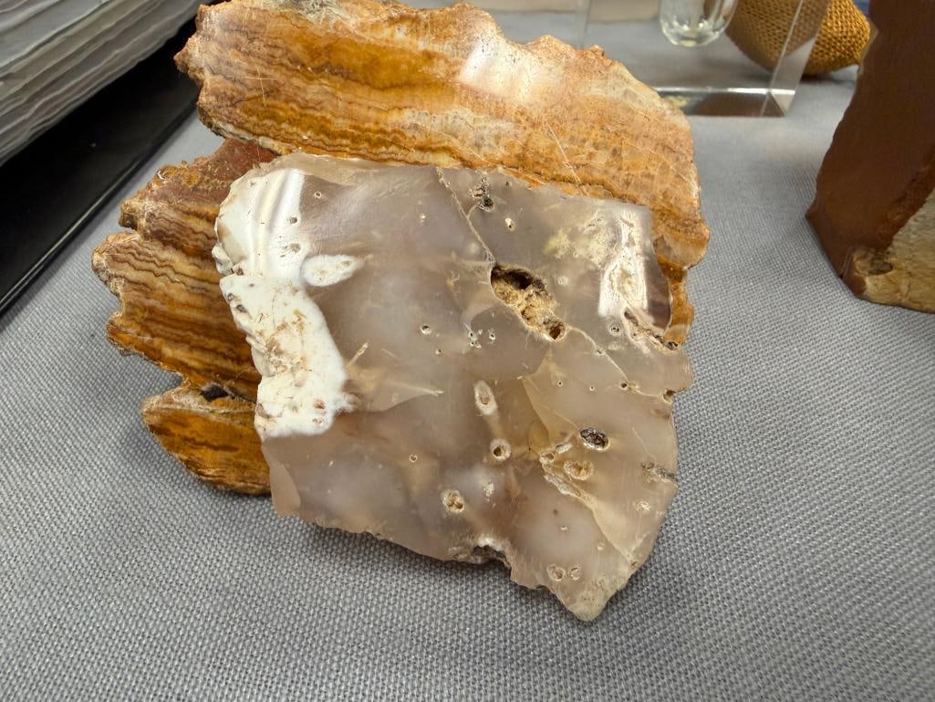GEOLOGICAL SPECIMEN SAMPLES INCLUDING AGATE - 8