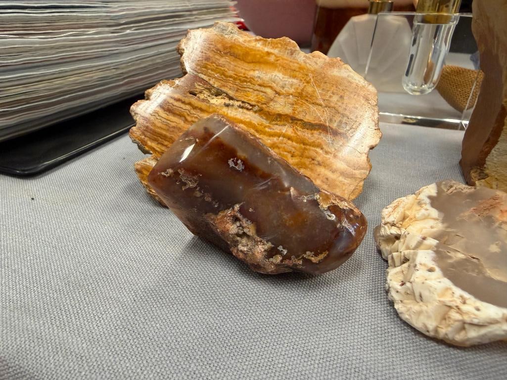 GEOLOGICAL SPECIMEN SAMPLES INCLUDING AGATE - 9