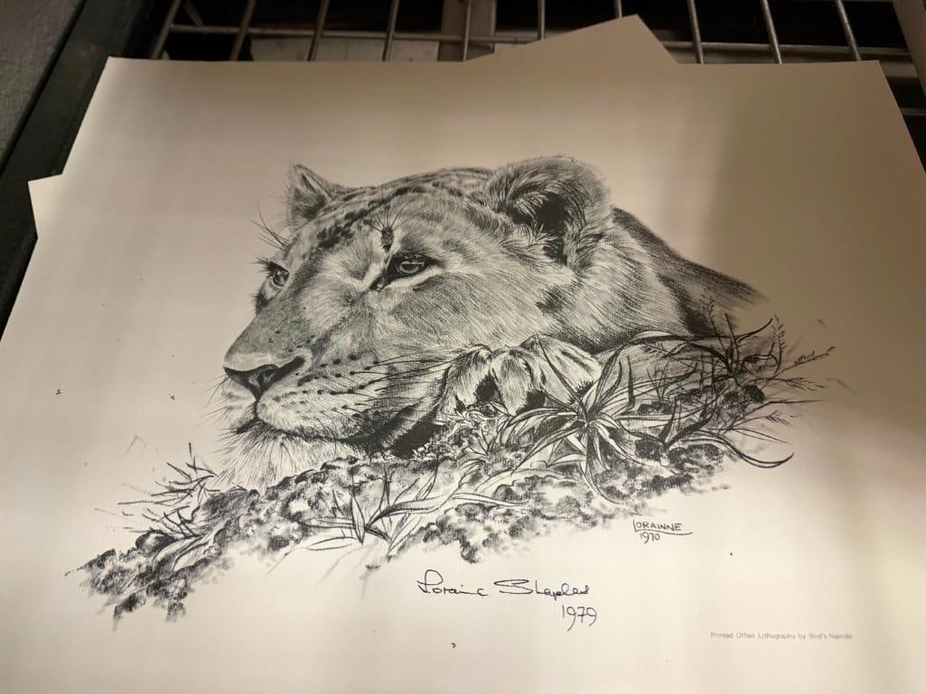 THREE AFRICAN LIONS LITHOGRAPH PRINTS BY LORAINNE SHARPLES - 11