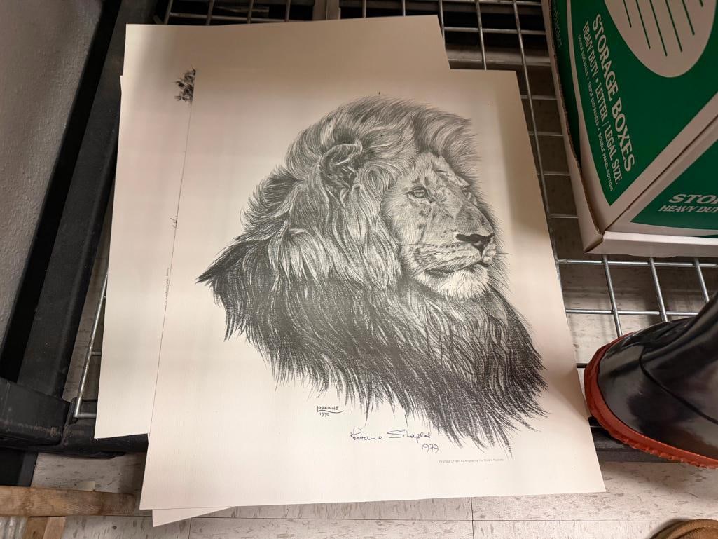 THREE AFRICAN LIONS LITHOGRAPH PRINTS BY LORAINNE SHARPLES - 3
