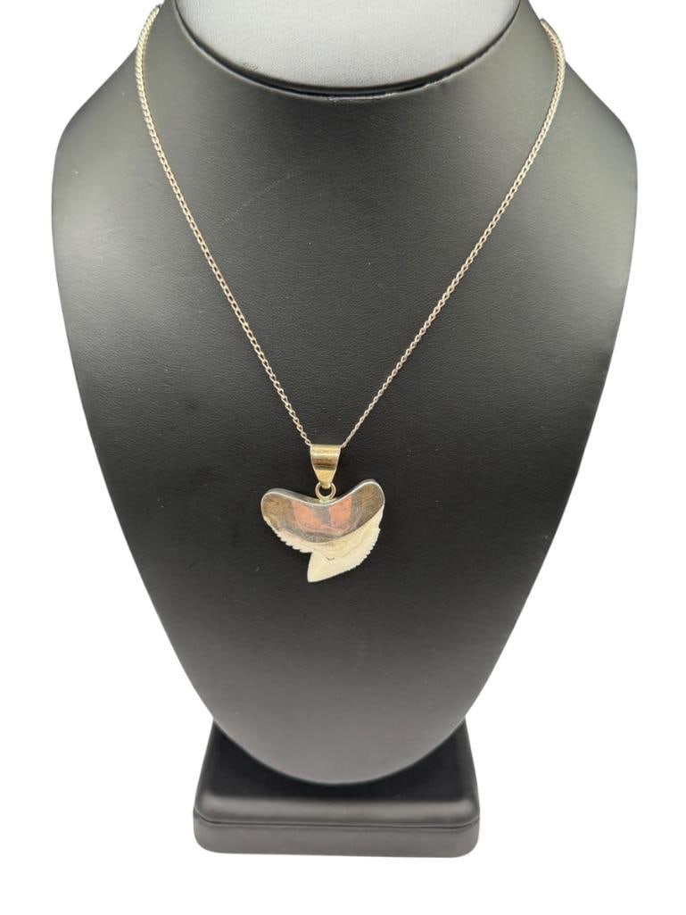 STERLING SILVER TIGER SHARK TOOTH PENDANT NECKLACE (1 of 5)