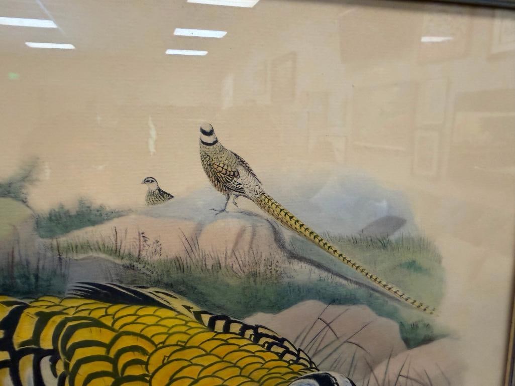JOHN GOULD FAMOUS ENGLISH ORNITHOLOGIST AND ILLUSTRATOR HAND COLORED LITHOGRAPH PHASIANUS REEVESIIE - 10