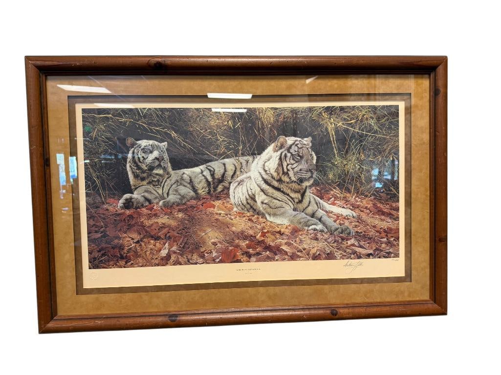 ANTHONY GIBBS LIMITED EDITION LITHOGRAPH WHITE TIGERS, EVER WATCHFUL NO. 919/1550: ART DEPICTS TO TIGERS LYING ON A PILE OF LEAVES, SIGNED LOWER RIGHT, EMBOSSED STAMP LOWER LEFT, CERTIFICATE ON THR BACK, FRAMED 39" X 25 1/2" FRAME