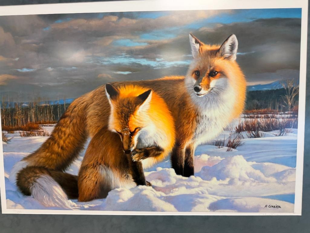 NANCY GLAZIER WILDLIFE ARTIST LIMITED EDITION PRINT WINTERS CHILDREN - RED FOXES NO. 911/950 - 2