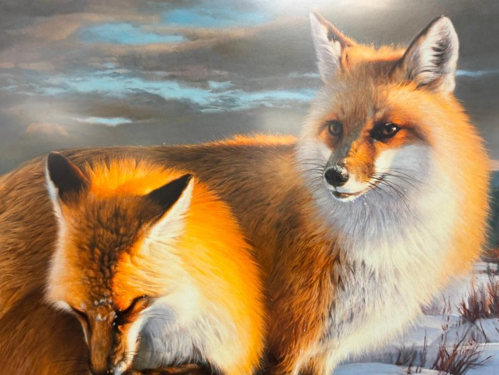NANCY GLAZIER WILDLIFE ARTIST LIMITED EDITION PRINT WINTERS CHILDREN - RED FOXES NO. 911/950 - 3