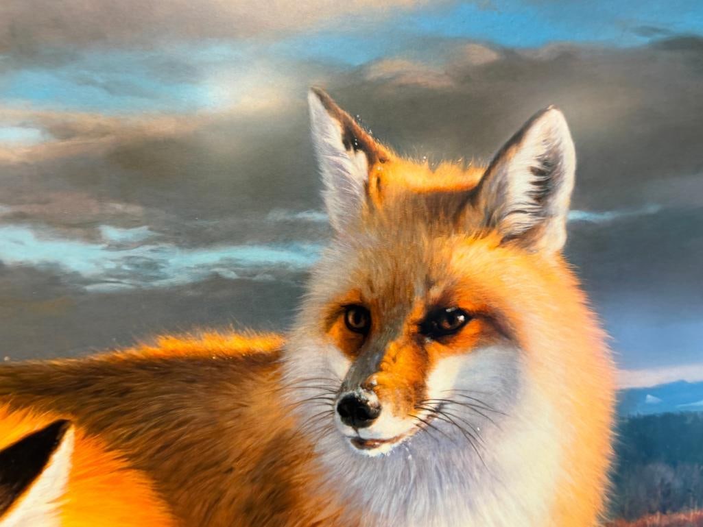 NANCY GLAZIER WILDLIFE ARTIST LIMITED EDITION PRINT WINTERS CHILDREN - RED FOXES NO. 911/950 - 4