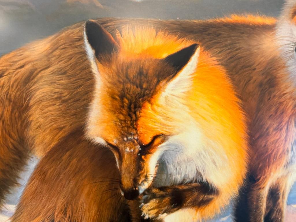 NANCY GLAZIER WILDLIFE ARTIST LIMITED EDITION PRINT WINTERS CHILDREN - RED FOXES NO. 911/950 - 5