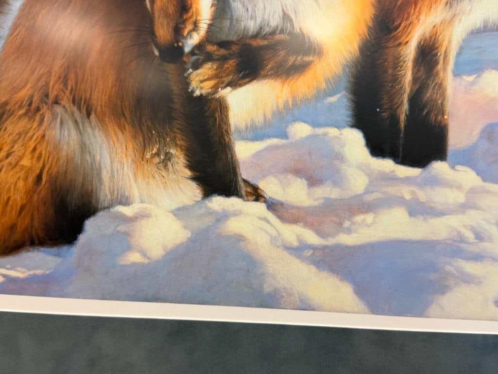 NANCY GLAZIER WILDLIFE ARTIST LIMITED EDITION PRINT WINTERS CHILDREN - RED FOXES NO. 911/950 - 6