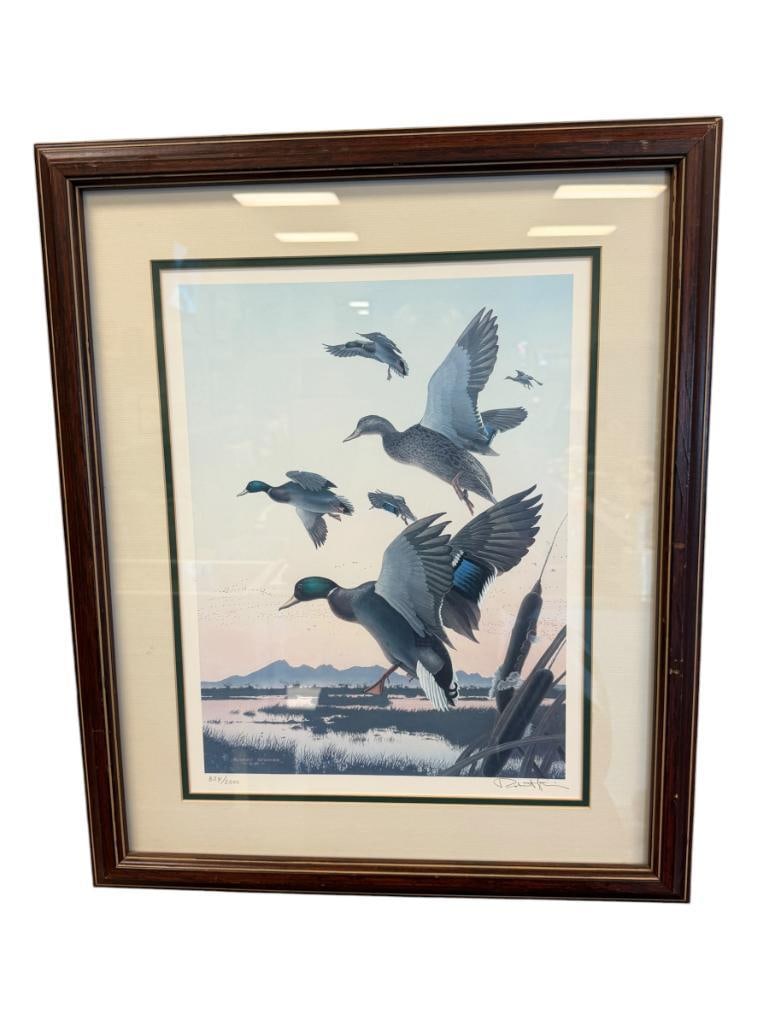 ROBERT STEINER WILDLIFE ARTIST LIMITED EDITION PRINT OF MALLARD DUCKS NO. 834/2000 (1 of 9)