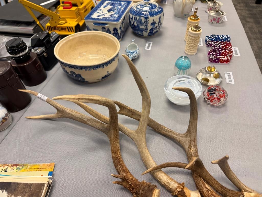 FIVE PAIRS OF DEER ANTLERS THREE WITH NEVADA DIVISION OF WILDLIFE GAME TAGS - 10