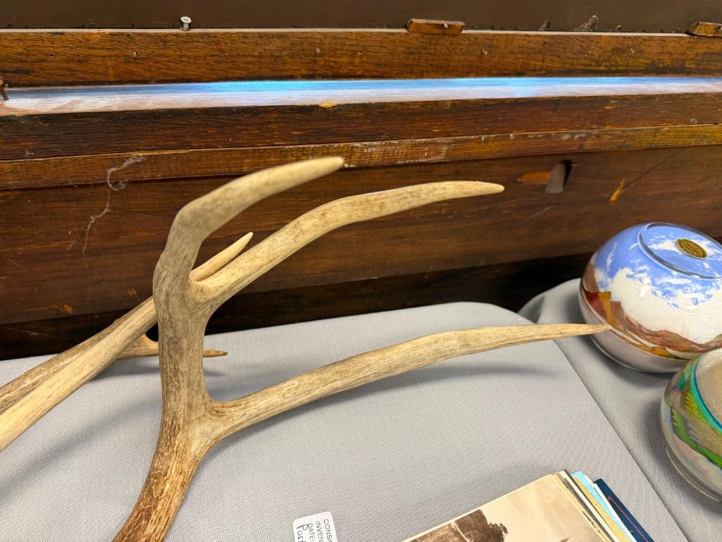 FIVE PAIRS OF DEER ANTLERS THREE WITH NEVADA DIVISION OF WILDLIFE GAME TAGS - 9