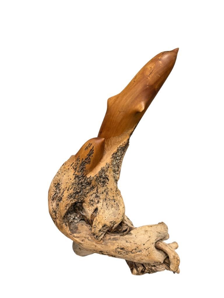 20TH CENTURY CARVED NATURAL DRIFTWOOD SCULPTURE OF TWO DOLPHINS: SCULPTURE DEPICTS TWO DOLPHINS LEAPING OUT OF THE WATER, FEATURES FINISHED AND NATURAL AREAS 23" H