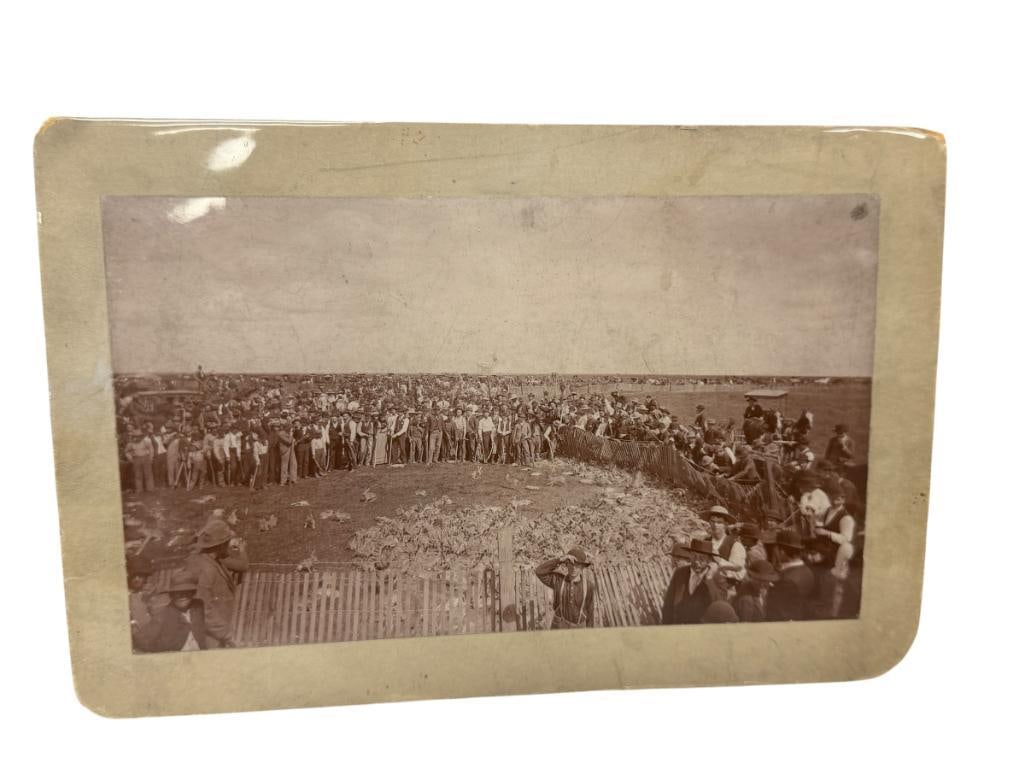 LATE 1800'S ORIGINAL PHOTOGRAPH OF RABBIT DRIVE / HUNT IN FRESNO, CA TAKEN BY GRAND CENTRAL STUDIO: SEPIA TONED PHOTOGRAPH, DEPICTS GATHERING OF HUNDREDS OF PEOPLE GATHERING TO CORRAL JACK RABBITS AND SLAUGHTER THEM WITH CLUBS, STAMPED ON THE BACK BY THE STUDIO 9" X 6" 