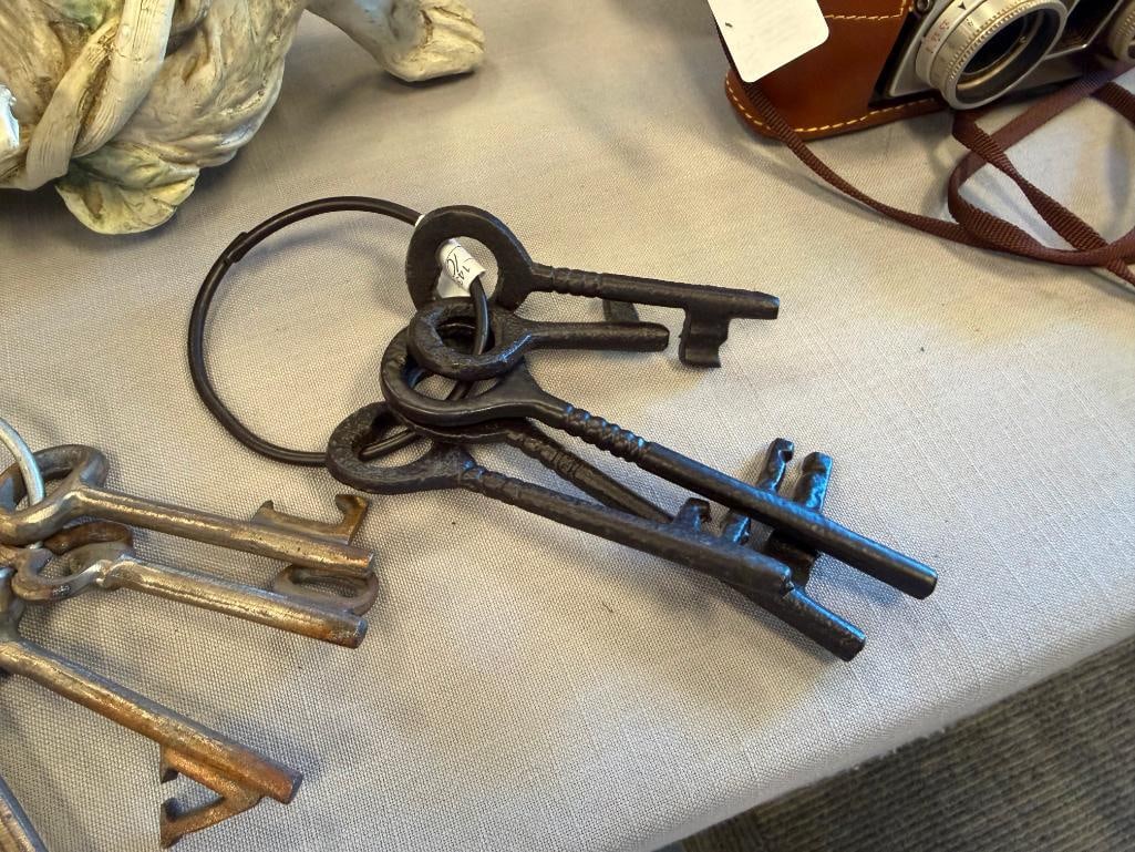 DECORATIVE IRON AND CAST IRON SKELETON KEYS ON KEY RINGS - 10