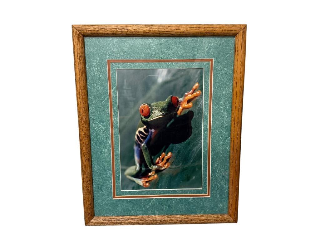SIGNED RICHARD JACKSON PHOTOGRAPHY " RED EYE TREE FROG " NUMBERED PHOTOGRAPH PRINT: NUMBERED 11/90 ON BACK, SIGNED ON BACK AS WELL, FEATURES A RED EYE TREE FROG IN LA SALVA RAINFOREST OF COSTA RICA, WASHINGTON PHOTOGRAPHER, OAK FRAMED AND TRIPLE MATTED 12" X 15" FRAME