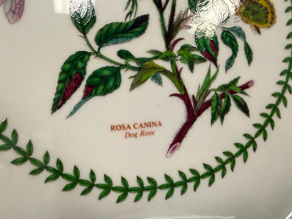 1991 SUSAN WILLIAMS-ELLIS VARIATIONS BOTANICAL PLATES MADE IN ENGLAND - 13