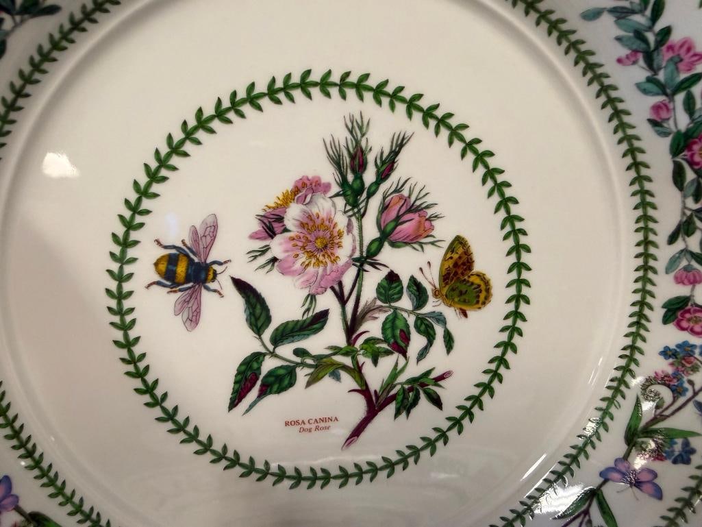 1991 SUSAN WILLIAMS-ELLIS VARIATIONS BOTANICAL PLATES MADE IN ENGLAND - 14