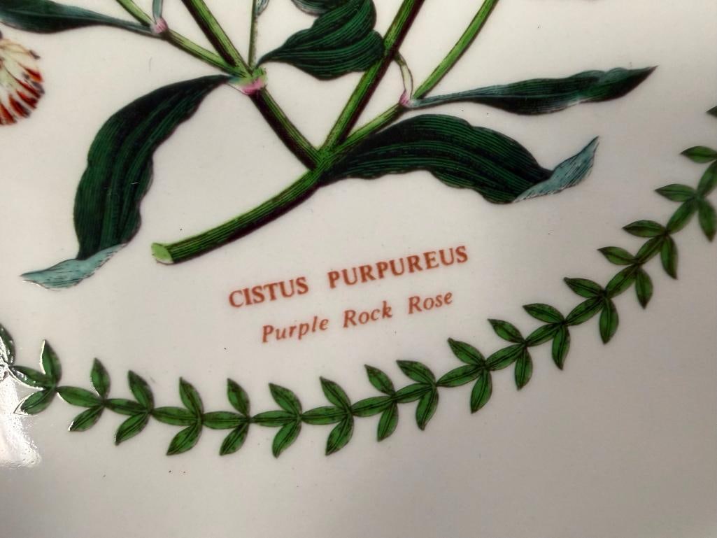 1991 SUSAN WILLIAMS-ELLIS VARIATIONS BOTANICAL PLATES MADE IN ENGLAND - 4