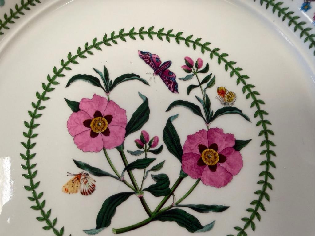 1991 SUSAN WILLIAMS-ELLIS VARIATIONS BOTANICAL PLATES MADE IN ENGLAND - 5