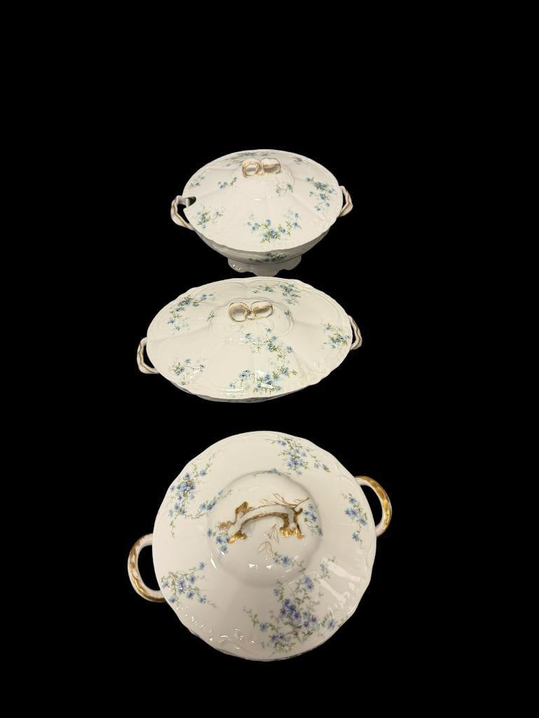 HAVILAND LIMOGES FOR S. STERNHEIM & SON PORCELAIN SERVING DISHES WITH FLORAL DESIGN AND GILT ACCE... (1 of 20)