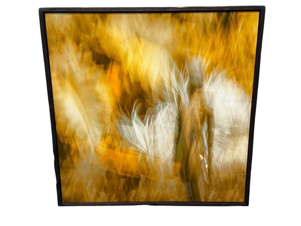 MAZ MAHJOOBI CARSON CITY, NV PHOTOGRAPHER METAL ART PRINT ABSTRACT 214: ABSTRACT ART ON METAL SHEET, ARTIST AND ART INFO ON THE BACK, FRAMED 18 7/8" X 19" FRAME