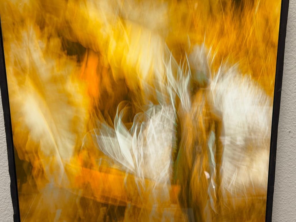 MAZ MAHJOOBI CARSON CITY, NV PHOTOGRAPHER METAL ART PRINT ABSTRACT 214 - 2