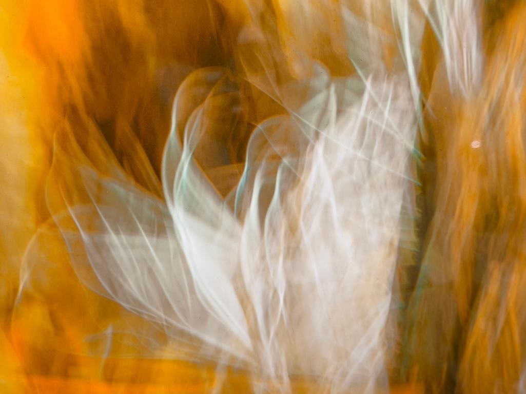 MAZ MAHJOOBI CARSON CITY, NV PHOTOGRAPHER METAL ART PRINT ABSTRACT 214 - 3