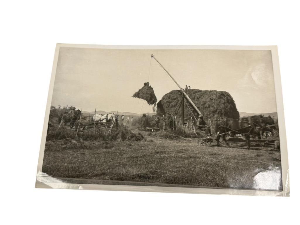 1900'S BLACK AND WHITE PHOTOGRAPH OF HAYING AROUND MARY'S RIVER BASIN, ELKO, NV: PHOTO DEPICTS MEN ON HORSEBACK GATHERING LARGE PILES OF HAY BALES, INFORMATION WRITTEN IN PENCIL ON THE BACK 10" X 6 1/4"