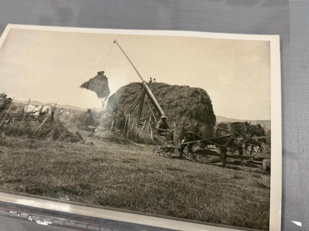 1900'S BLACK AND WHITE PHOTOGRAPH OF HAYING AROUND MARY'S RIVER BASIN, ELKO, NV - 2