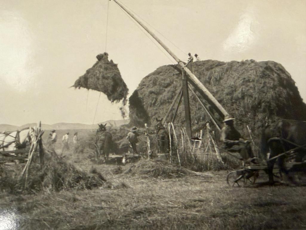 1900'S BLACK AND WHITE PHOTOGRAPH OF HAYING AROUND MARY'S RIVER BASIN, ELKO, NV - 3