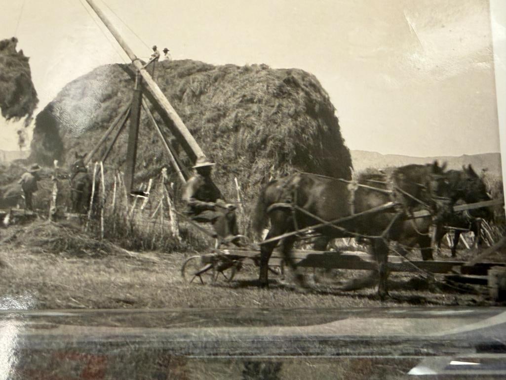 1900'S BLACK AND WHITE PHOTOGRAPH OF HAYING AROUND MARY'S RIVER BASIN, ELKO, NV - 4
