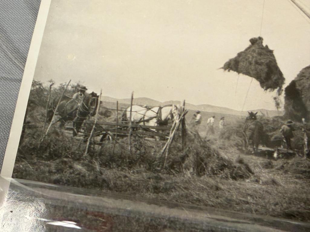 1900'S BLACK AND WHITE PHOTOGRAPH OF HAYING AROUND MARY'S RIVER BASIN, ELKO, NV - 5