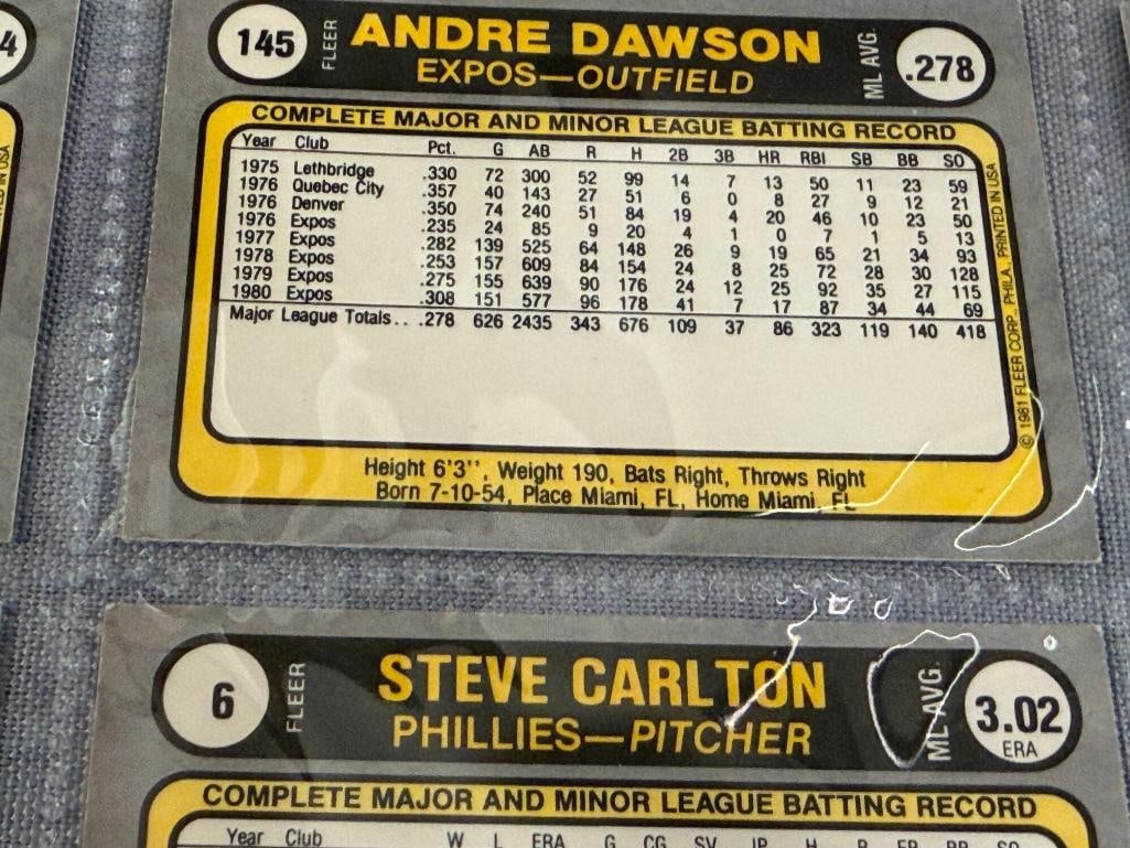 1981 FLEER HALL OF FAME BASEBALL CARDS MIKE SCHMIDT, OZZIE SMITH, PHIL NIEKRO - 9