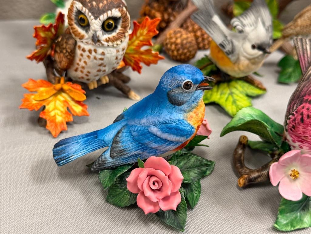 LENOX GARDEN BIRDS PORCELAIN FIGURINES TOTAL OF TEN WITH DISPLAY SHELF 1985-2020 RETIRED - 3