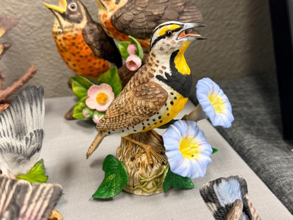 LENOX GARDEN BIRDS PORCELAIN FIGURINES TOTAL OF TEN WITH DISPLAY SHELF 1985-2020 RETIRED - 5